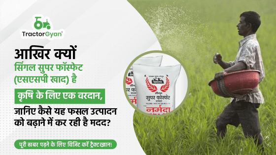 SSP Fertilizer: Price, Uses and Benefits of Single Superphosphate the Finest Fertilizer for Healthy Plants