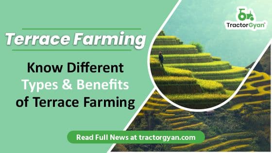 Terrace Farming: Know Different Types & Benefits of Terrace Farming image