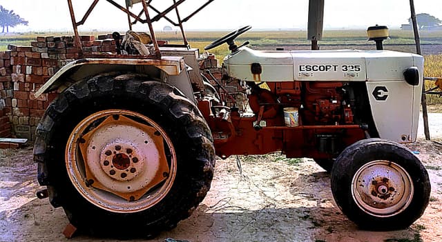 Escorts Josh 335 (4)