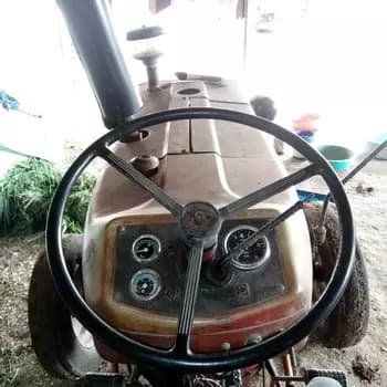 Escorts Josh 335 (1)