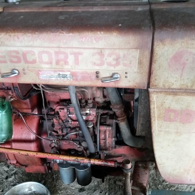 Escorts Josh 335 (4)