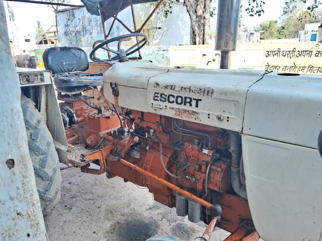 Escorts Josh 335 (2)