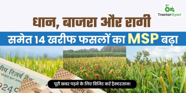 धान, बाजरा और रागी समेत 14 खरीफ फसलों का MSP बढ़ा image