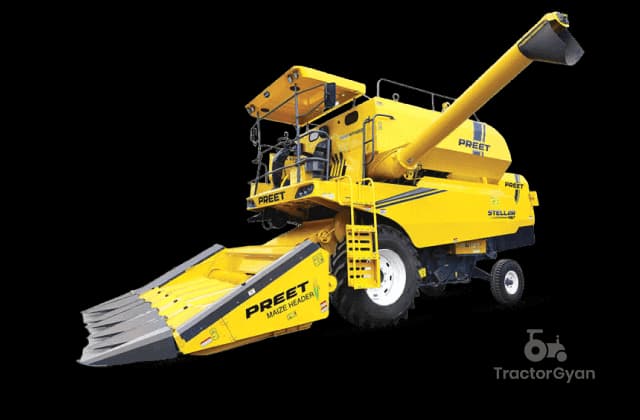 Preet 987 Stellar Maize (1)