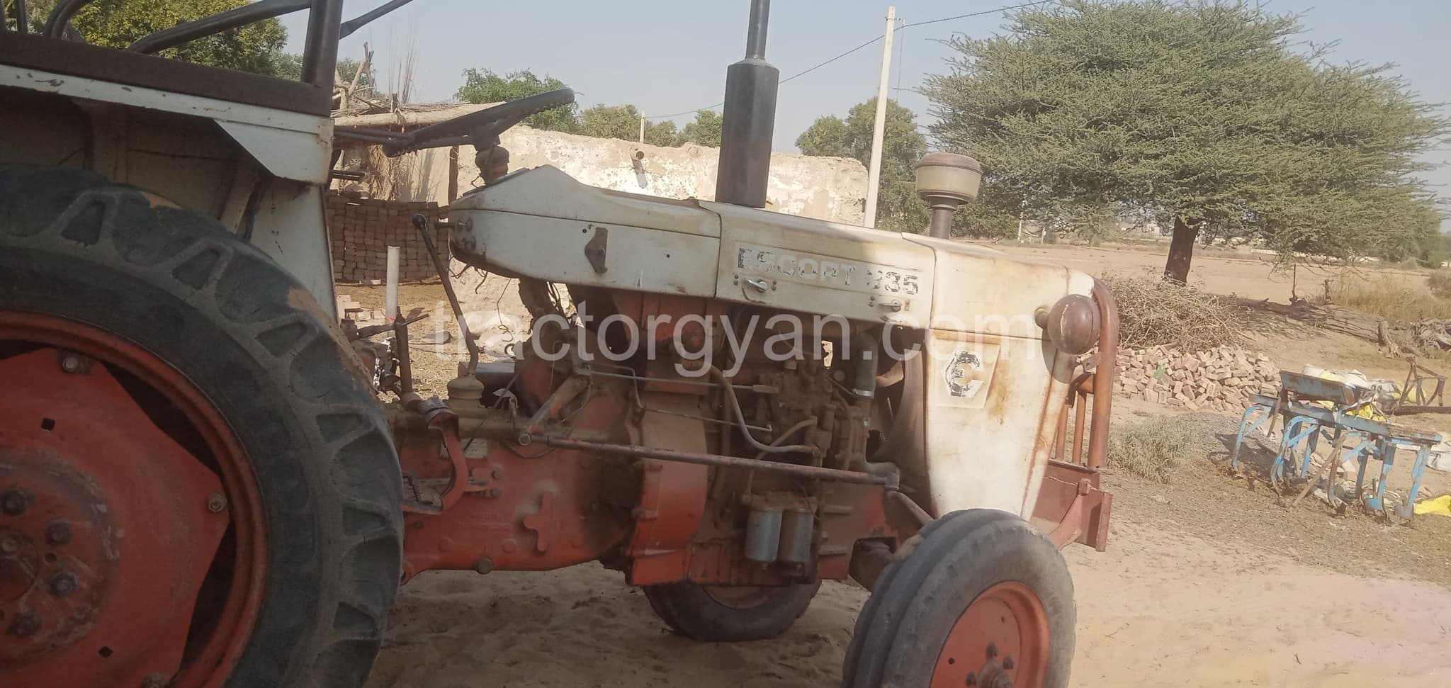 Escorts Josh 335 (2)