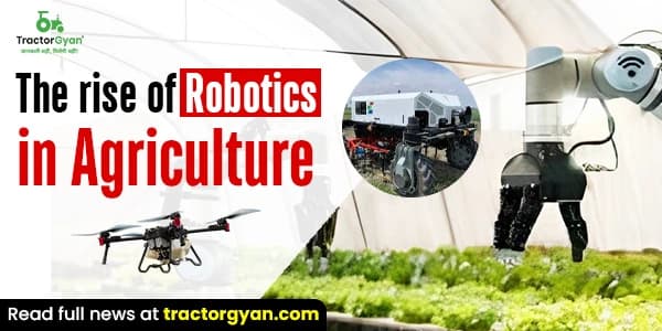 Rise of Robotics in Agriculture