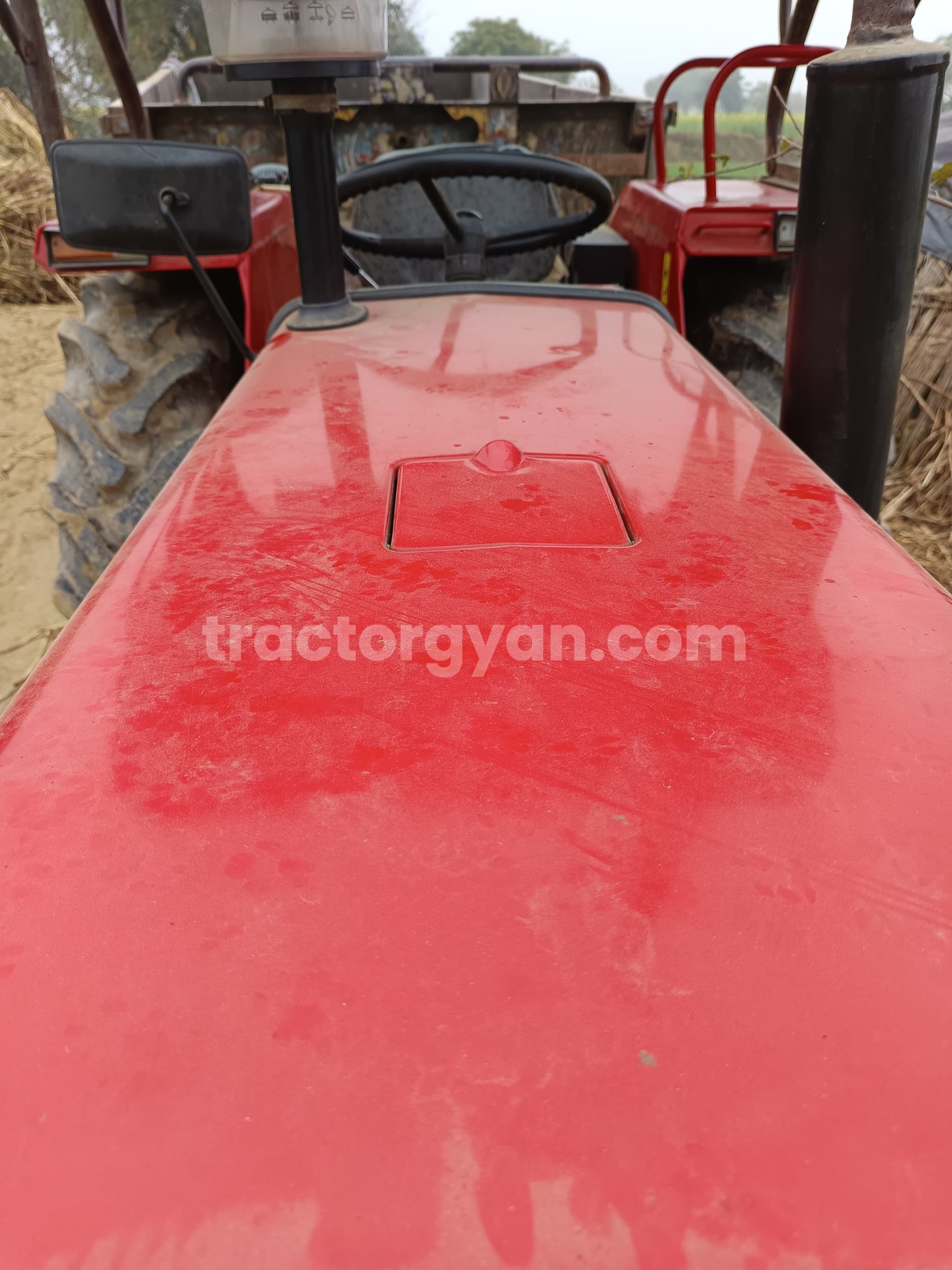 Massey ferguson 241 DI Planetary Plus (2)