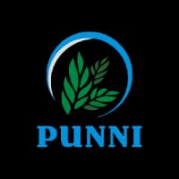 Punni Logo