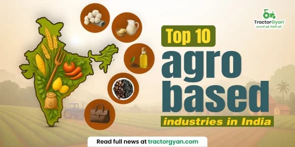 Top 10 agro-based industries with examples in India 2025-2026 image