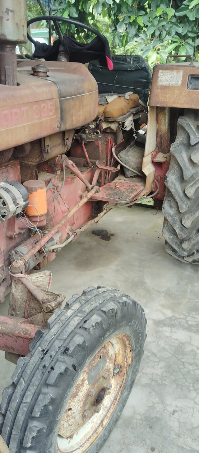 Escorts Josh 335 (2)