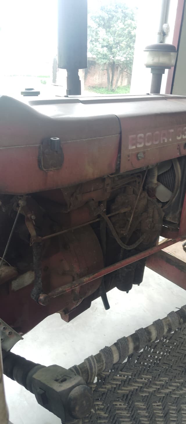 Escorts Josh 335 (4)