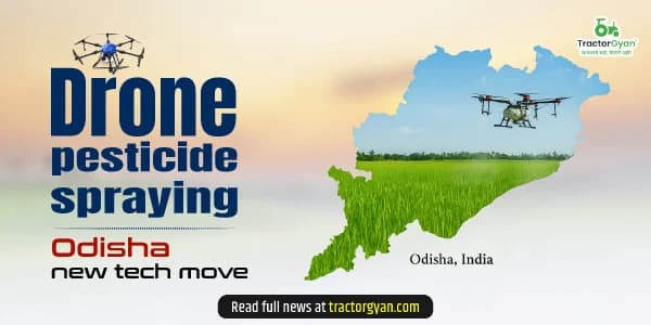 How drone pesticide spraying is giving Odisha a technological shift in agriculture? image