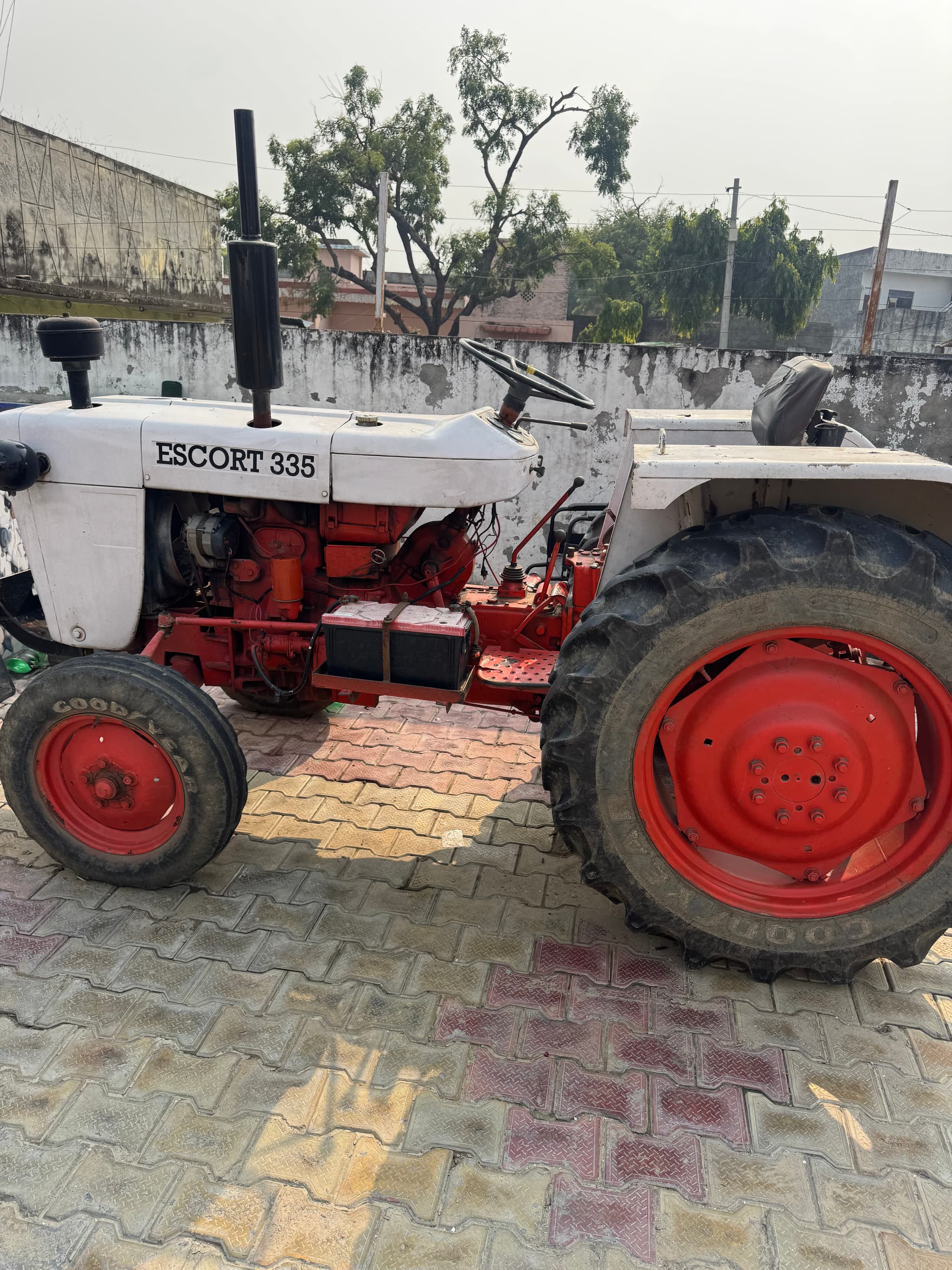 Escorts Josh 335 (2)