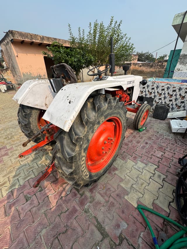 Escorts Josh 335 (3)