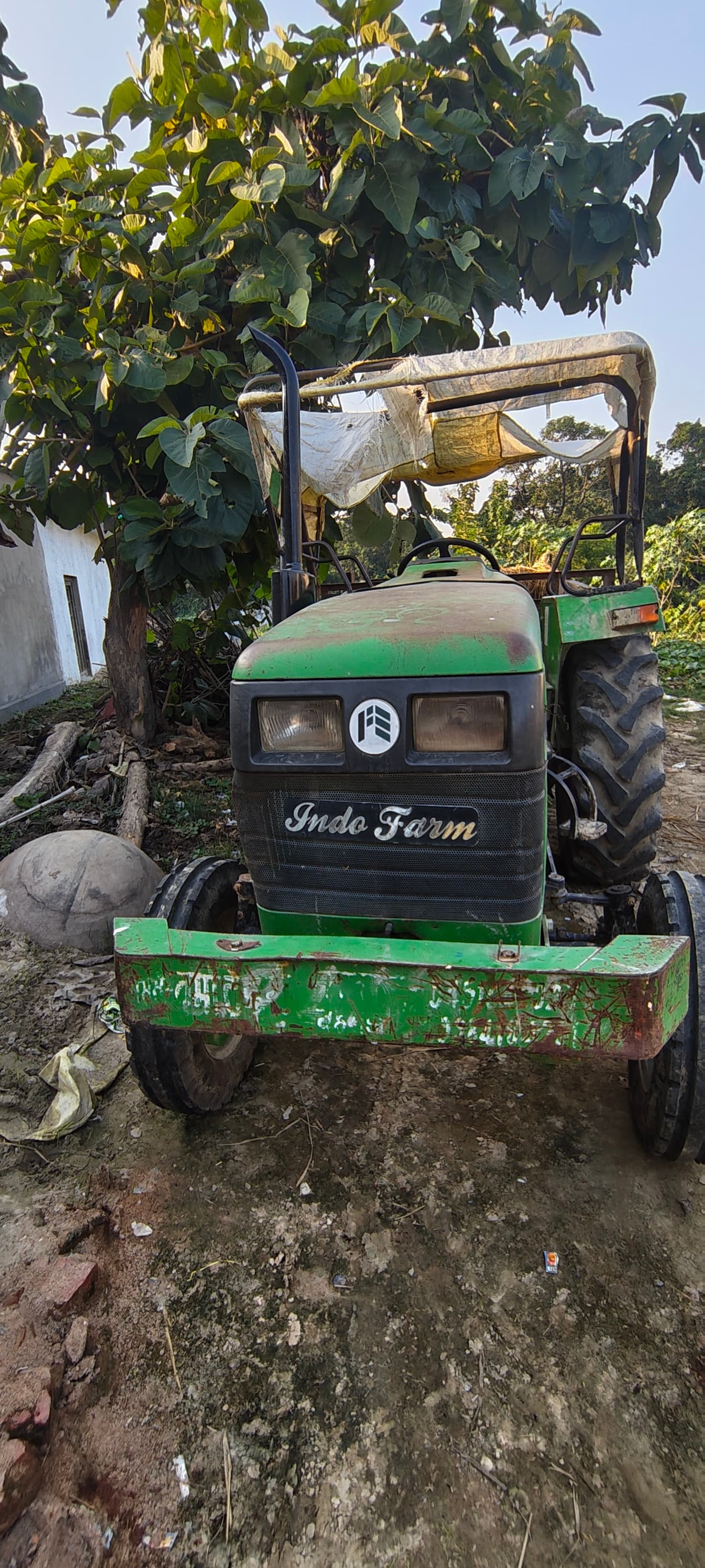 Indo farm 3055 NV (2)