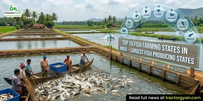 Top 10 fish farming states in India:  Largest fish-producing states image