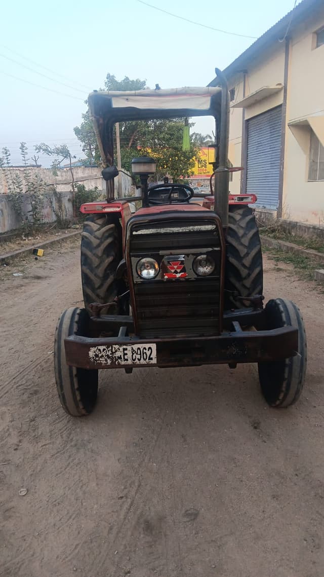 Massey ferguson 241 DI (42HP) (1)