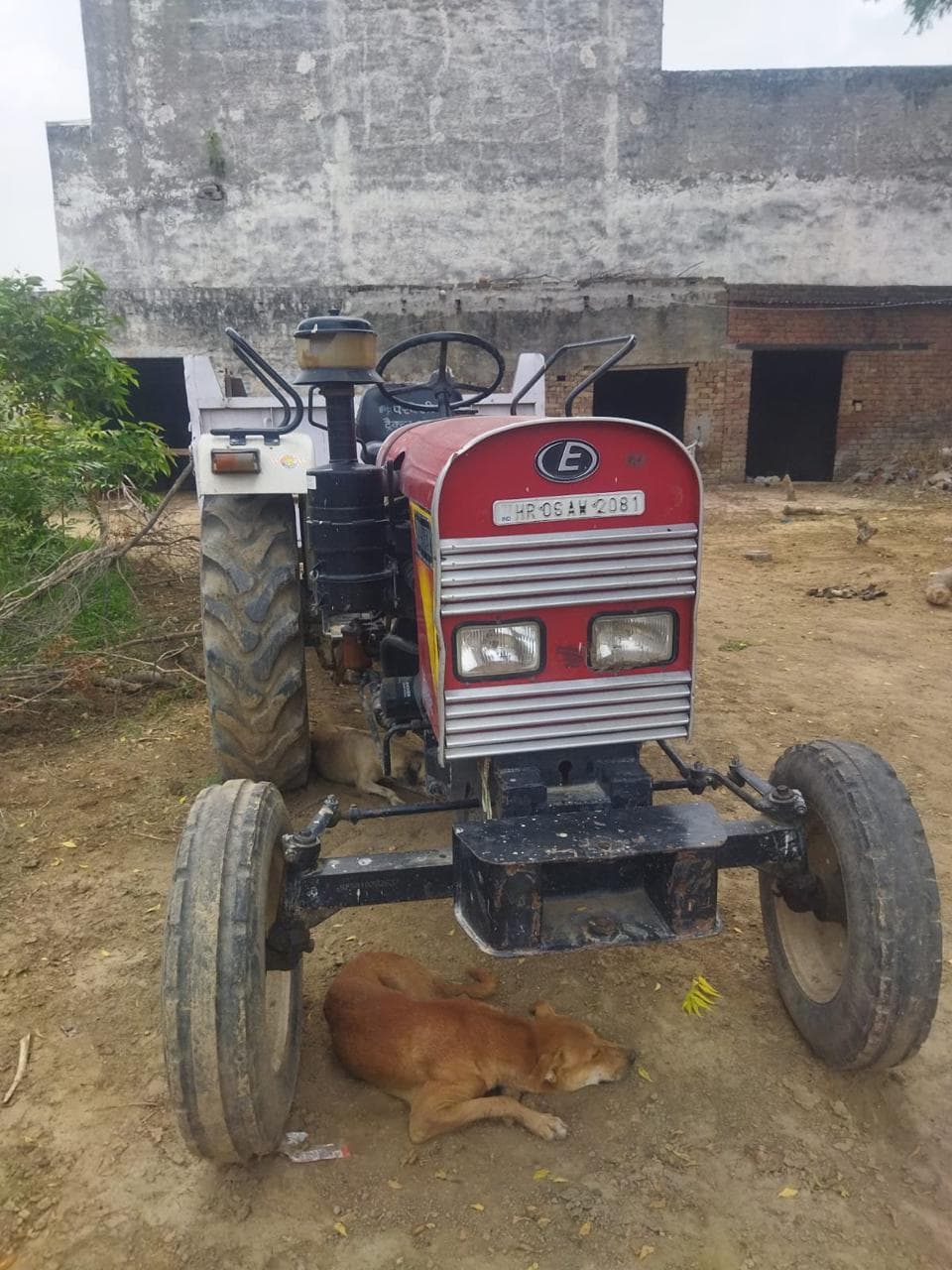 Eicher 242 (25HP)