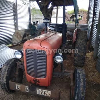 Massey ferguson 1035 DI (1)