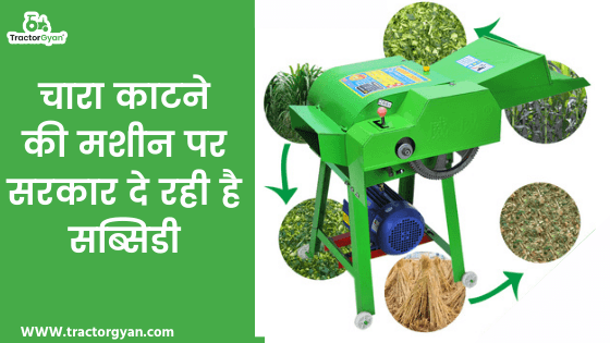 चारा काटने की मशीन पर सरकार दे रही है सब्सिडी - ऐसे पाएं लाभ चारा काटने की मशीन पर सरकार दे रही है सब्सिडी - ऐसे पाएं लाभ image