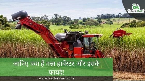 Everything You Need to Know About Sugarcane Harvester