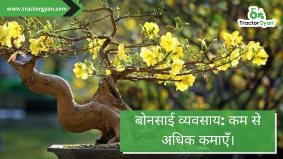 Bonsai Business: Earn More From Less image