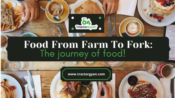 From farm to fork: The journey of your food! image