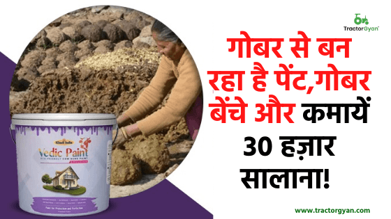गोबर से बना पेंट! अच्छे-अच्छे ऑयल पेंट और डिस्टेंपर से भी बताया जा रहा है बेहतर! image
