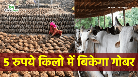 ₹5 में बिकेगा 1 किलो गोबर! image
