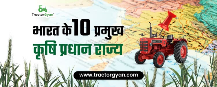Top 10 Agriculture States in India – Largest Crop Producing States image