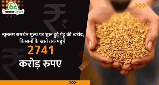 न्यूनतम समर्थन मूल्य पर शुरू हुई गेंहू की खरीद, किसानों के खाते तक पहुंचे 2741 करोड़ रुपए न्यूनतम समर्थन मूल्य पर शुरू हुई गेंहू की खरीद, किसानों के खाते तक पहुंचे 2741 करोड़ रुपए image