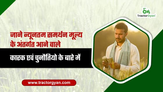 What is minimum support price? Factors and challenges under MSP image