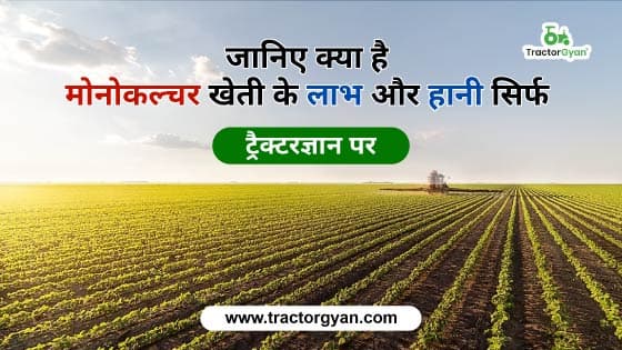 What is Monoculture farming? Advantage and Disadvantage in 2023 image