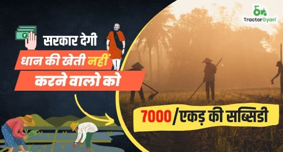 Meri fasal mera byora पोर्टल: सरकार देगी धान की खेती नहीं करने वालो को 7000/एकड़ की सब्सिडी image