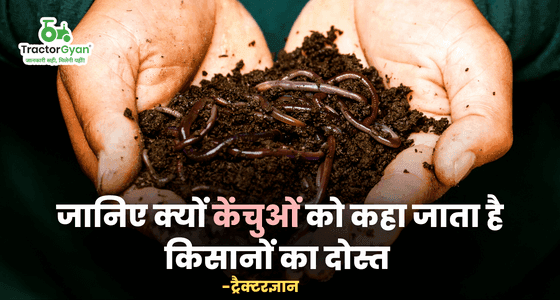 Know why earthworms are called farmers friends | Tractorgyan image