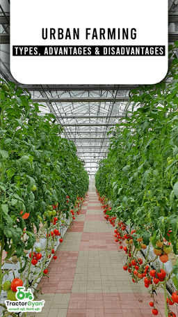 Urban farming: Types, Advantages & Disadvantages | Tractorgyan