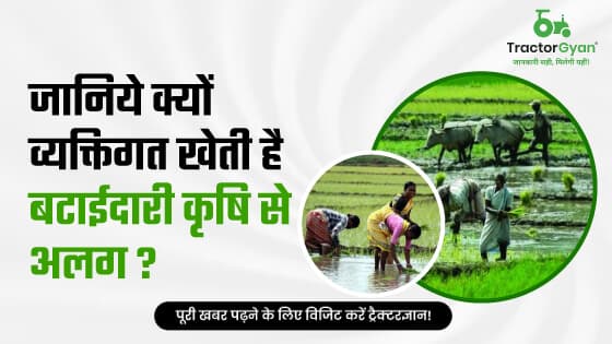 Understand the Differences between Sharecropping and Tenant Farming image