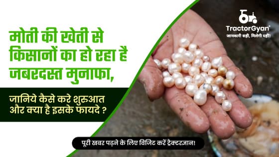 Pearl Farming in India: What is Pearl Farming? Process, Benefits & Investment