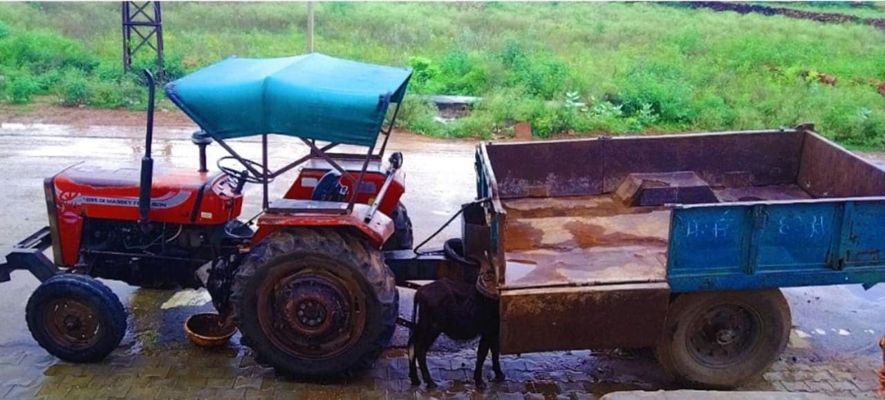Massey ferguson 1035 Di (4)
