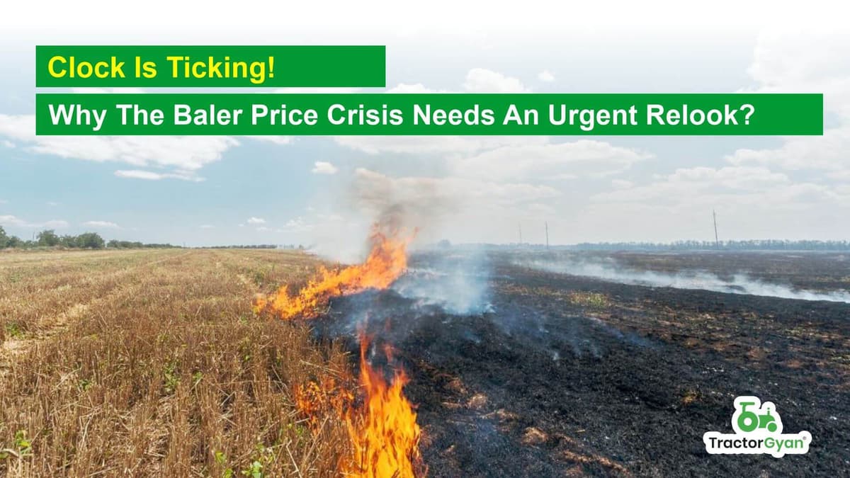Clock is ticking! Why the Baler Price crisis needs an urgent relook? image