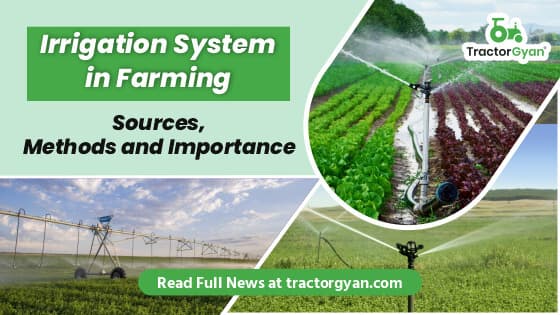 Irrigation System in Farming: Understand Sources, Methods and Importance Irrigation System in Farming: Understand Sources, Methods and Importance image