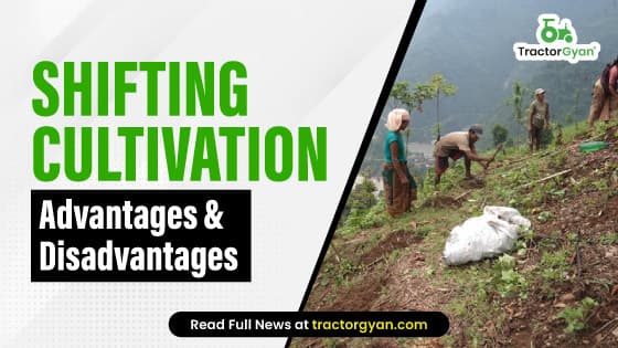 Shifting Cultivation: Features, Process, Advantages and Disadvantages of Shifting Cultivation | Tractorgyan Shifting Cultivation: Features, Process, Advantages and Disadvantages of Shifting Cultivation | Tractorgyan image