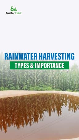 Rainwater Harvesting - Types & Importance Rainwater Harvesting - Types & Importance
