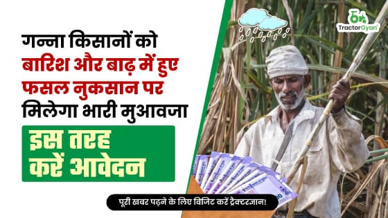 गन्ना किसानों को बारिश और बाढ़ में हुए फसल नुकसान पर मिलेगा भारी मुआवजा, इस तरह करें आवेदन गन्ना किसानों को बारिश और बाढ़ में हुए फसल नुकसान पर मिलेगा भारी मुआवजा, इस तरह करें आवेदन image