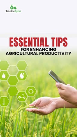 Essential Tips for Enhancing Agricultural Productivity Essential Tips for Enhancing Agricultural Productivity