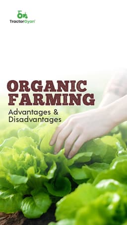 Organic Farming: Advantages and Disadvantages Organic Farming: Advantages and Disadvantages