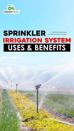 Sprinkler Irrigation System Uses & Benefits Sprinkler Irrigation System Uses & Benefits