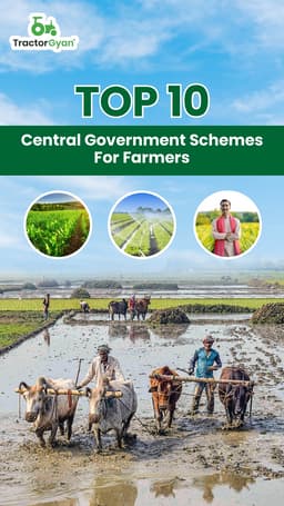 Top 10 Central Government Schemes for farmers Top 10 Central Government Schemes for farmers