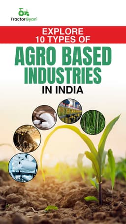 Explore 10 Types Of Agro Based Industries in India Explore 10 Types Of Agro Based Industries in India