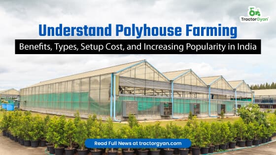 Understand Polyhouse Farming Benefits, Types, Setup Costs, and Increasing popularity in India Understand Polyhouse Farming Benefits, Types, Setup Costs, and Increasing popularity in India image